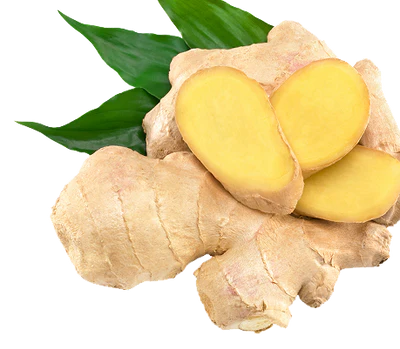 Rumianek